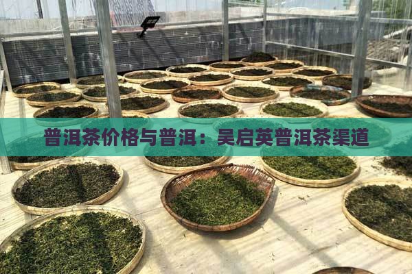 吴启英普洱茶渠道