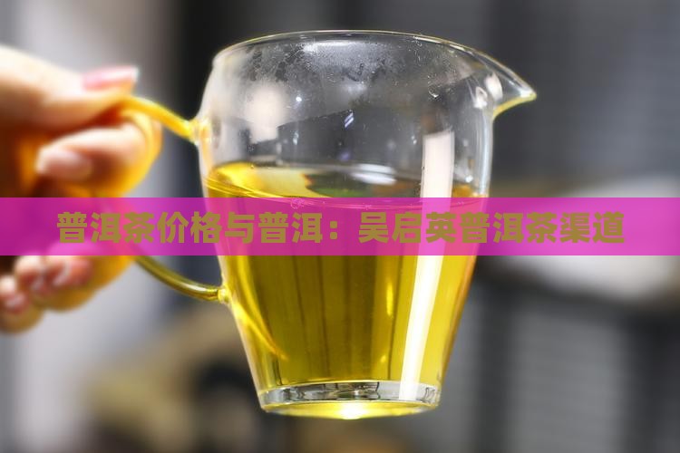 吴启英普洱茶渠道