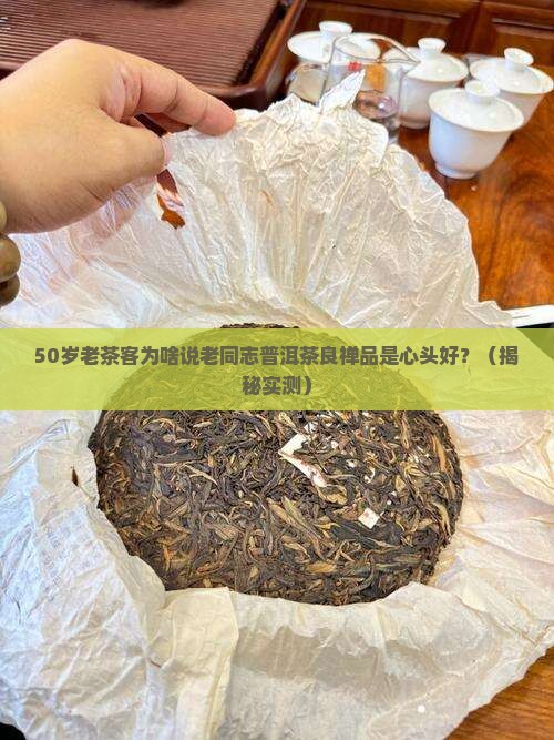老同志普洱茶良禅品