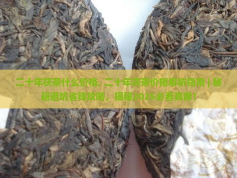 二十年茯茶什么价格