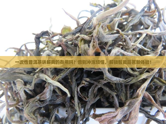 一次性普洱茶讲解