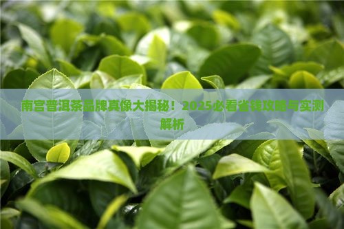 南宫普洱茶品牌