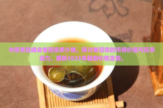 中茶青岛峰会老班章多少钱