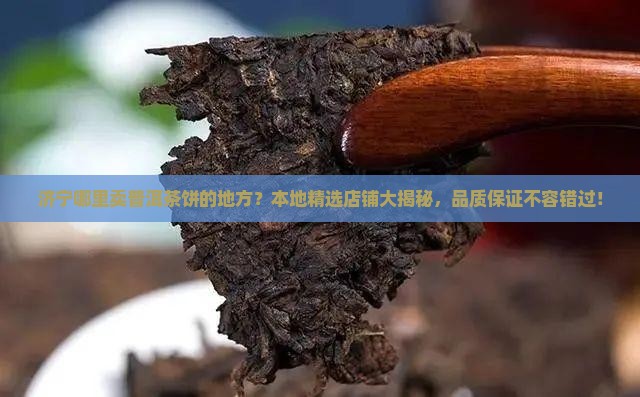 济宁哪里卖普洱茶饼的地方