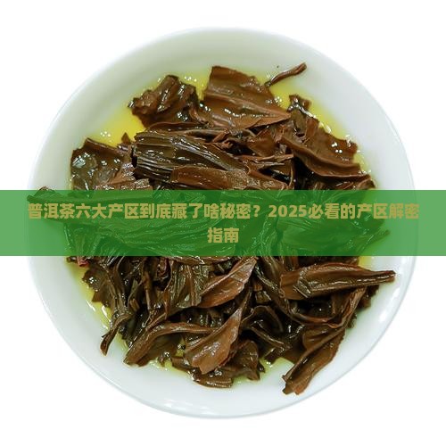 普洱茶六大产区及特点