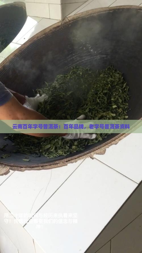 云南百年字号普洱茶
