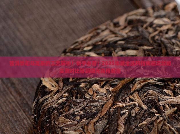 普洱茶和乌龙茶的工艺