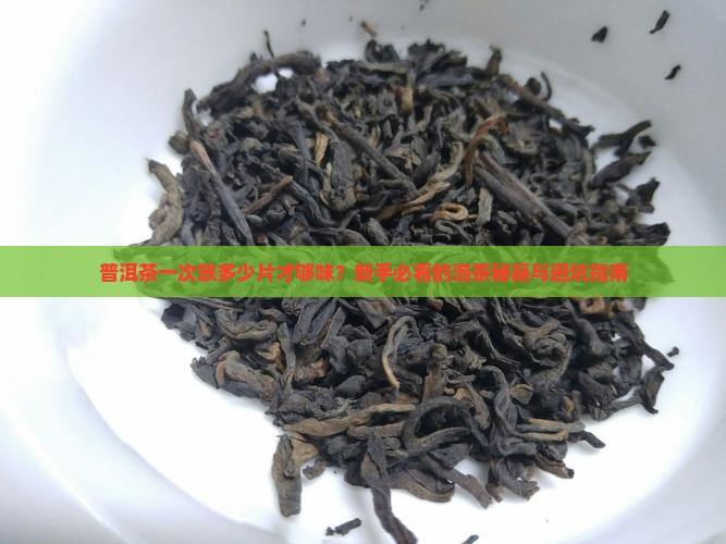 普洱茶一次放多少片茶叶