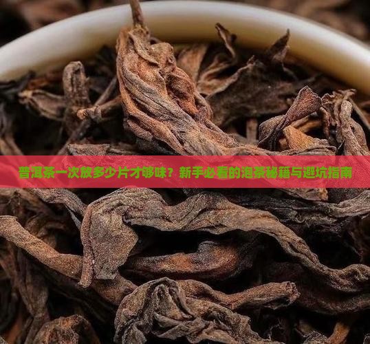 普洱茶一次放多少片茶叶