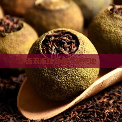 西双版纳勐普洱茶产地
