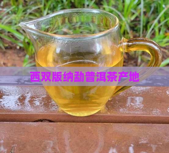 西双版纳勐普洱茶产地