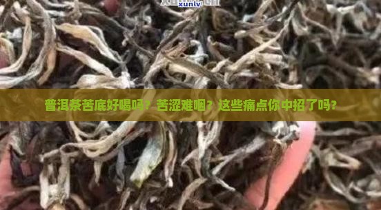 普洱茶苦底好喝吗