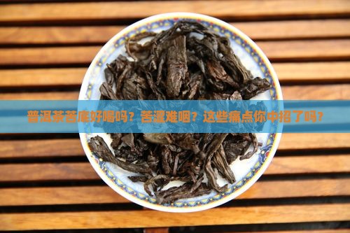 普洱茶苦底好喝吗