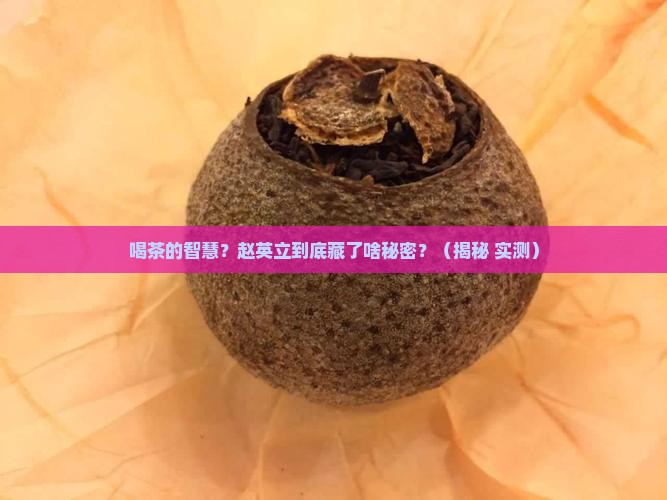 喝茶的智慧赵英立