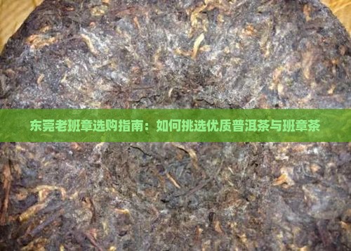 东莞老班章如何选择