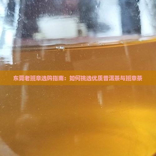 东莞老班章如何选择