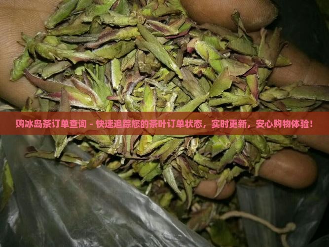 购冰岛茶订单查询