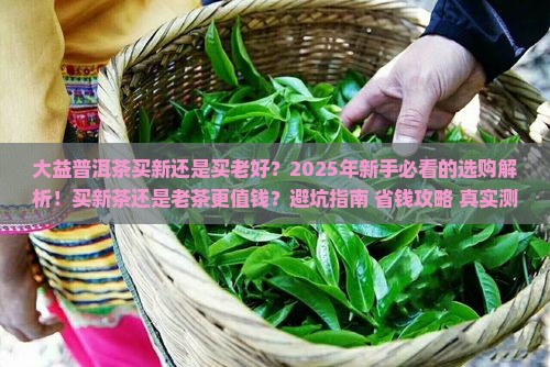 大益普洱茶买新还是买老好