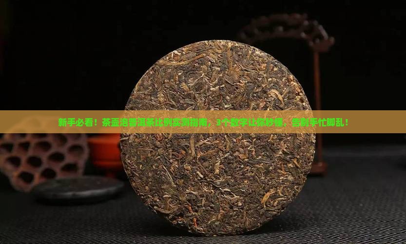 茶壶泡普洱茶比例