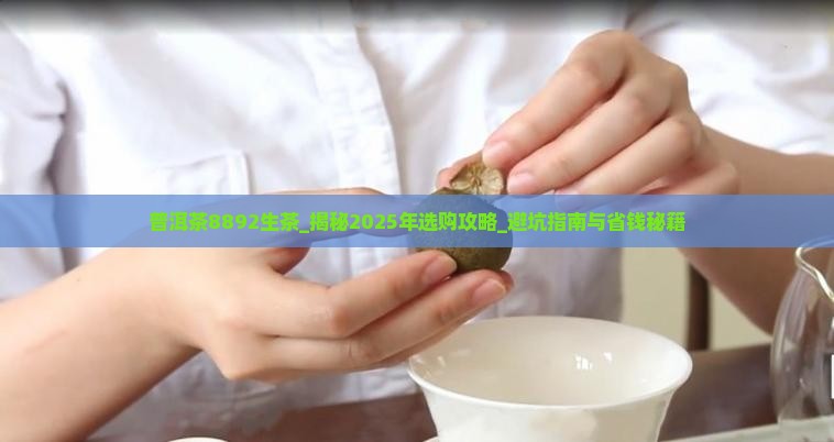 普洱茶8892生茶