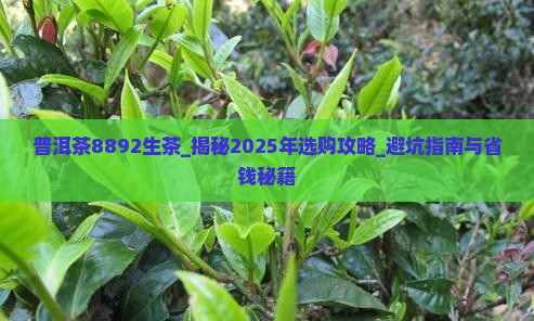 普洱茶8892生茶