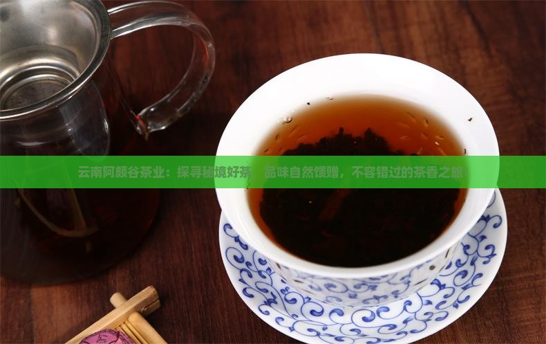云南阿颇谷茶业