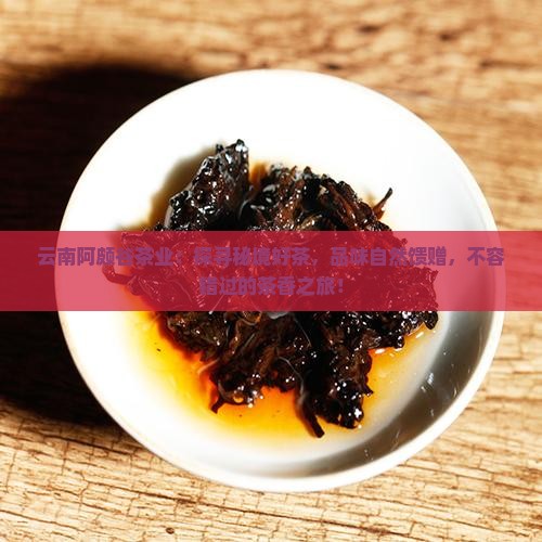 云南阿颇谷茶业