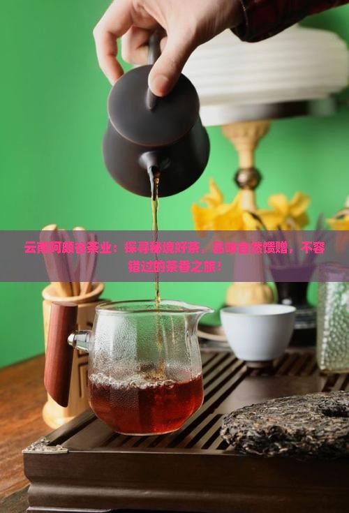 云南阿颇谷茶业