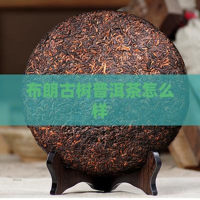 布朗古树普洱茶怎么样