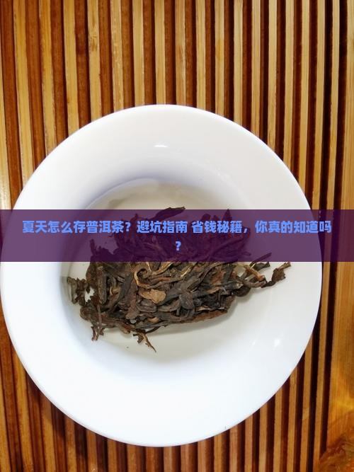 夏天如何保存普洱茶