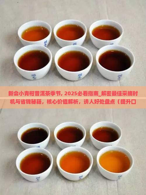 新会小青柑普洱茶季节
