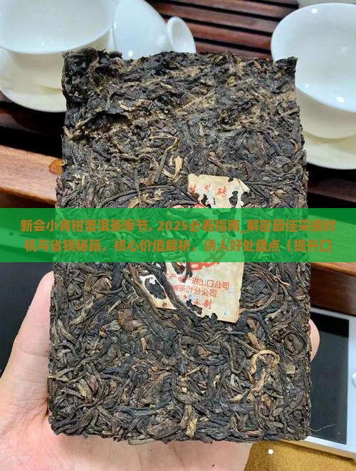 新会小青柑普洱茶季节