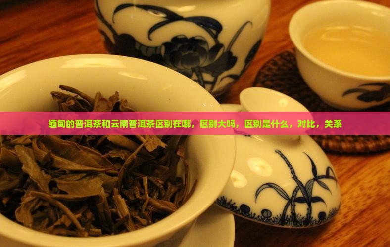缅甸的普洱茶和云南普洱茶区别