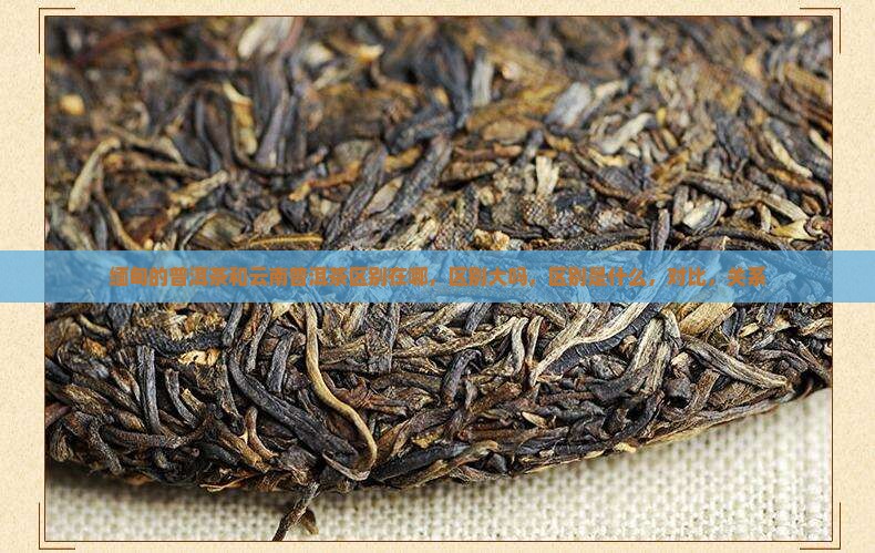 缅甸的普洱茶和云南普洱茶区别