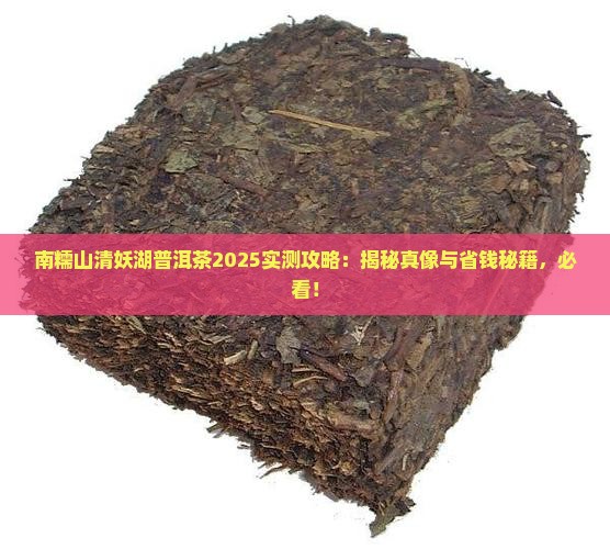 南糯山清妖湖普洱茶