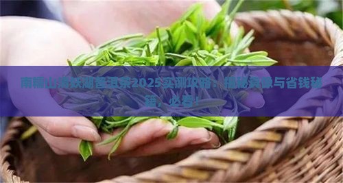 南糯山清妖湖普洱茶