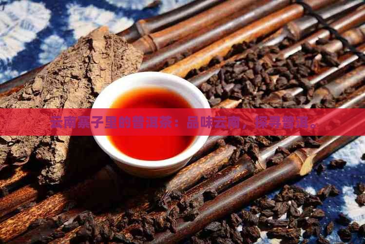 云南寨子里的普洱茶