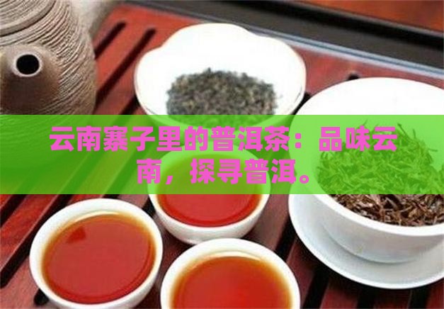 云南寨子里的普洱茶