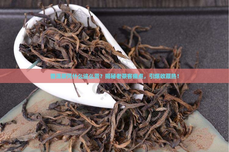 普洱茶为什么可以那么贵