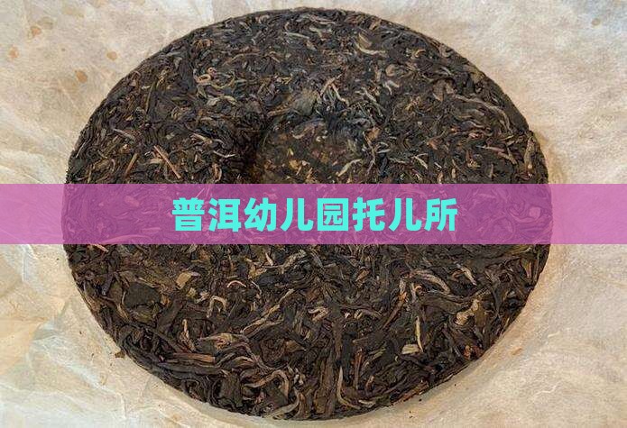 普洱茶城托儿所