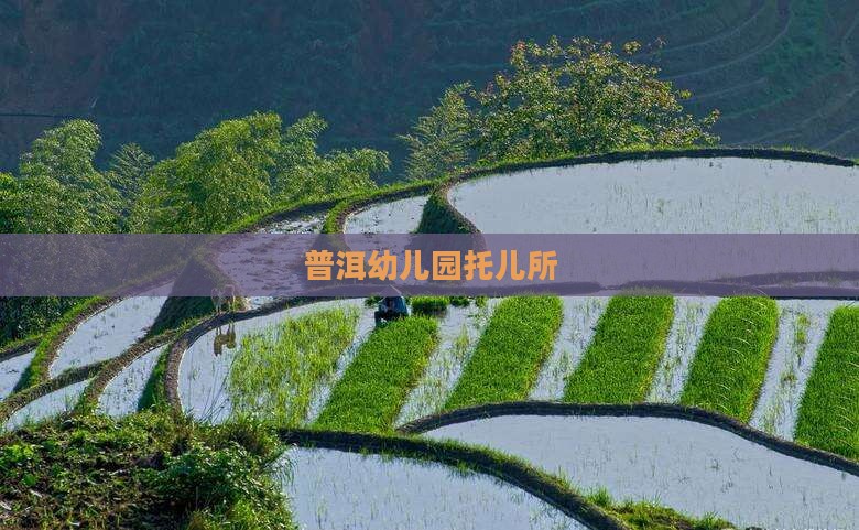 普洱茶城托儿所