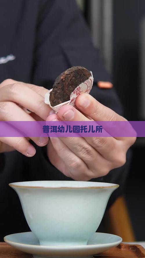 普洱茶城托儿所