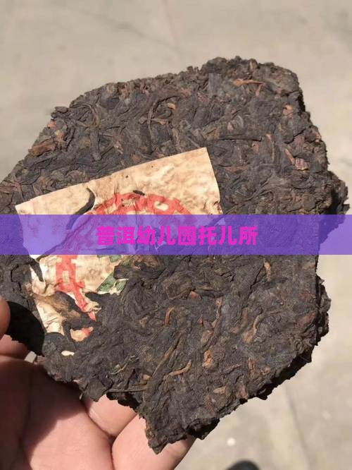 普洱茶城托儿所