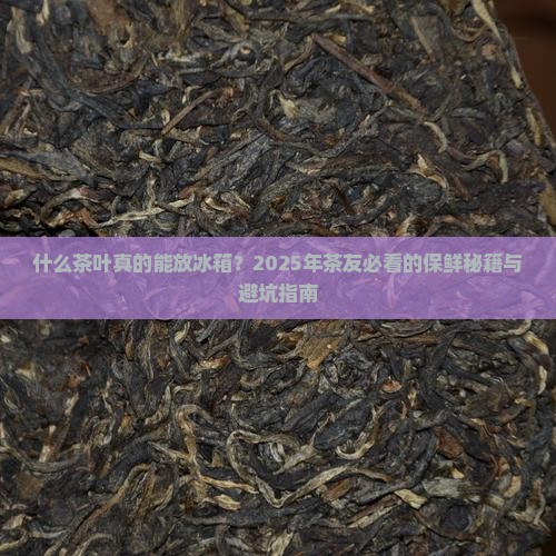 什么茶叶可以放在冰箱里