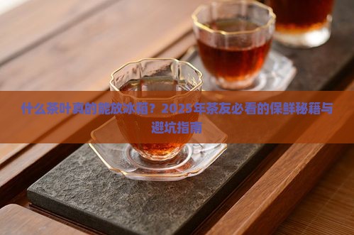 什么茶叶可以放在冰箱里