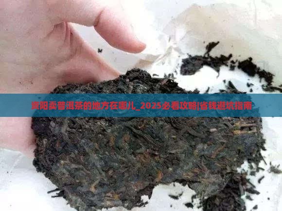 资阳卖普洱茶的地方在哪儿