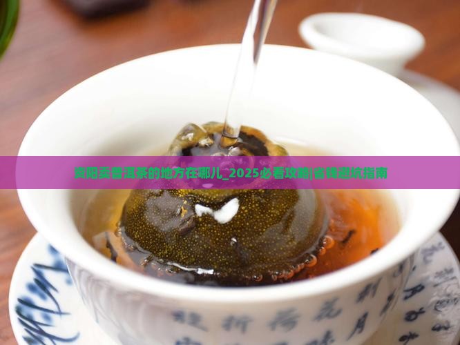 资阳卖普洱茶的地方在哪儿