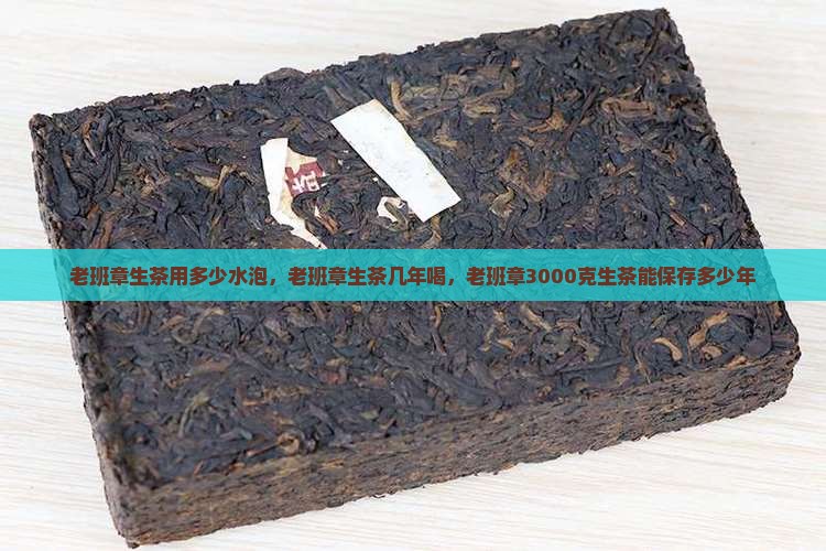 老班章生茶用多少水泡