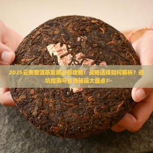 云南普洱茶发展的战略选择