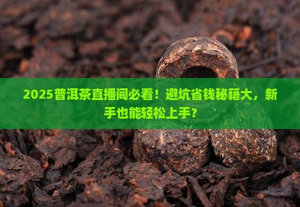 普洱茶直播间登记一下